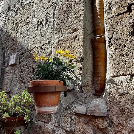 Santa Monaca Medieval House